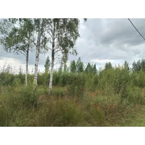 Участок в Лазаревичах