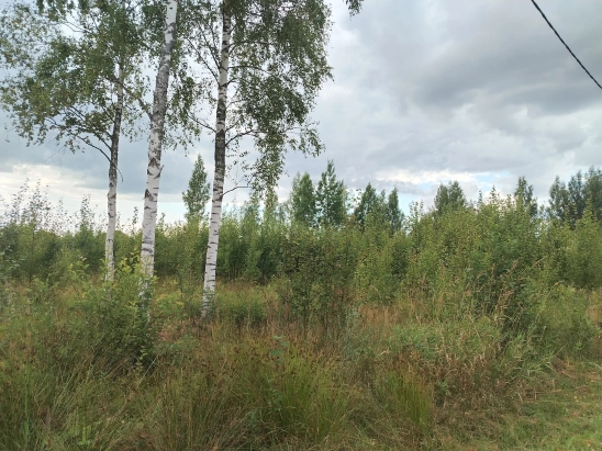 Участок в Лазаревичах