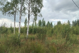 Участок в Лазаревичах